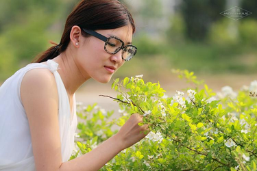 精产国品用户评价统计图表